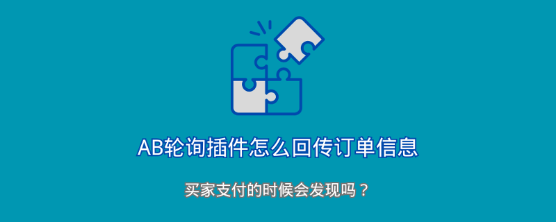 用了AB轮询插件Paypal收到的订单信息是什么？买家付款的时候会发现吗？